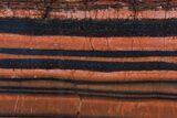 Polished Tiger Iron Stromatolite - ( Billion Years) #75859-1